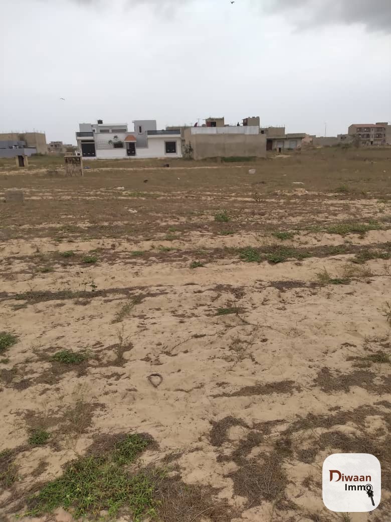 Terrain à vendre à kounoune - Image 2