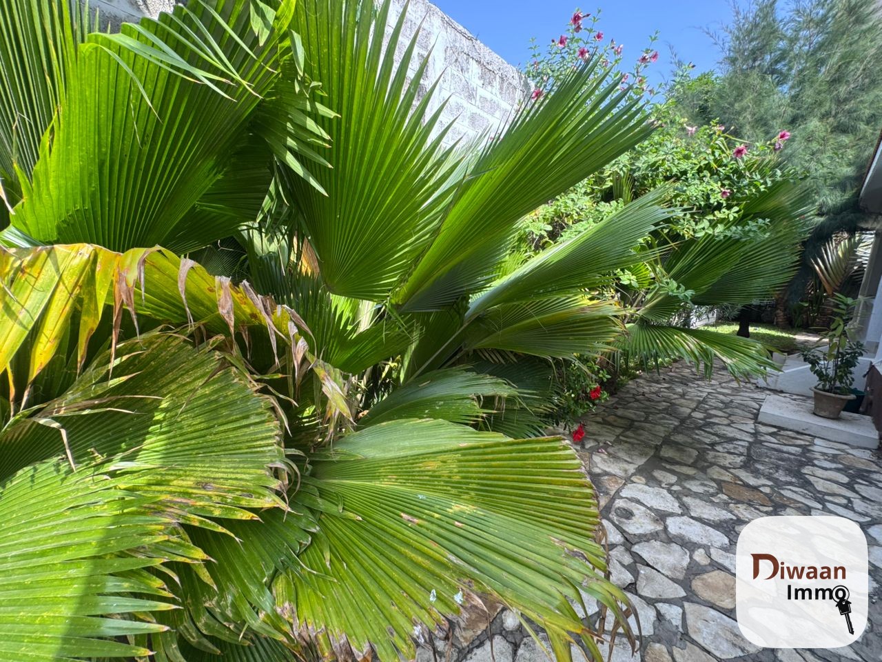 Villa à louer sur la corniche du Plateau - Image 17